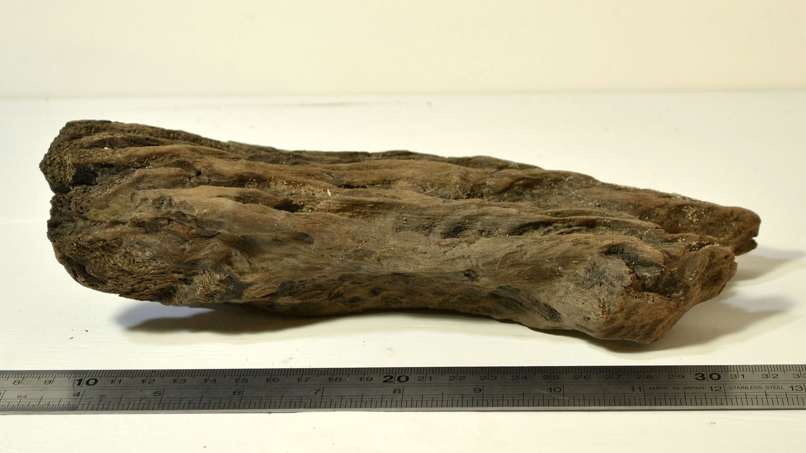 dw21d