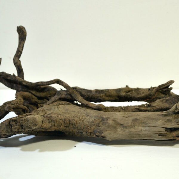 Driftwood 53