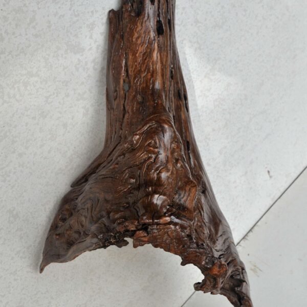 Driftwood106